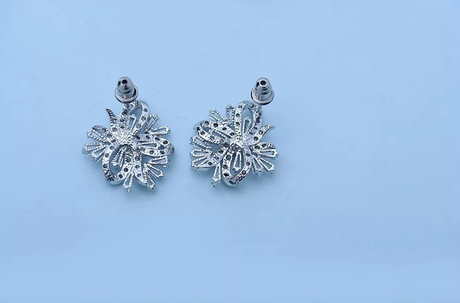 WE263- White Earrings for Women