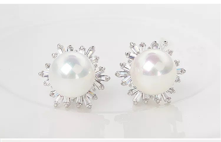 WE172 - Silver Earrings for Women
