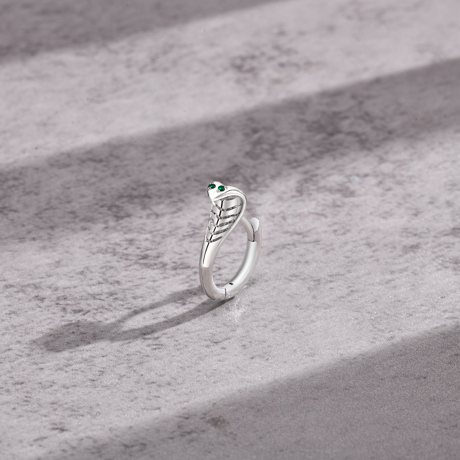 WM-E45 Silver Ear Studs Men Earring