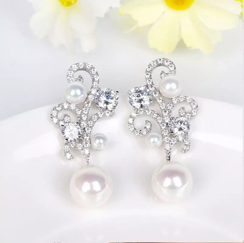 Women Luxury Earrings - WE105
