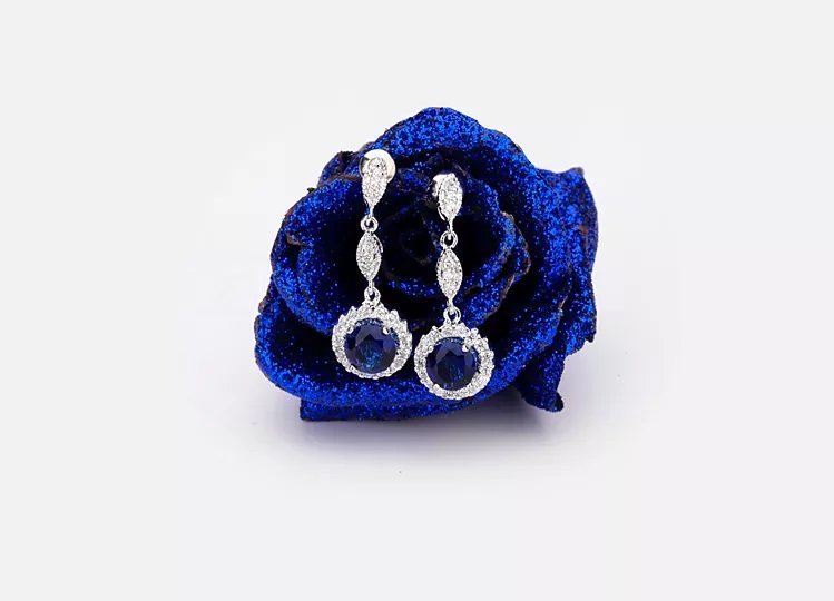Women Luxury Earrings - WE472 — image 6