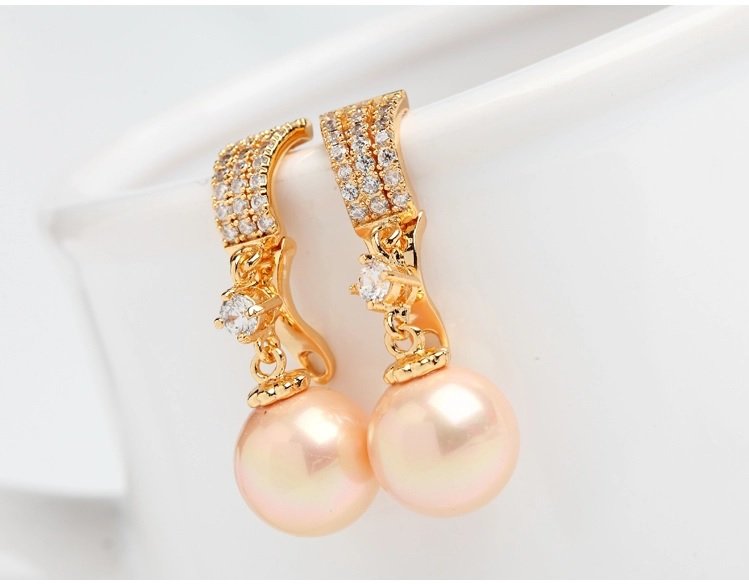 Women Luxury Earrings - WE473