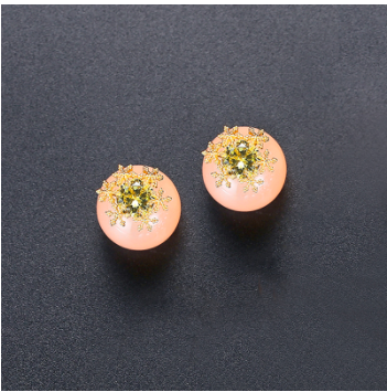 Women Luxury Earrings - WE661