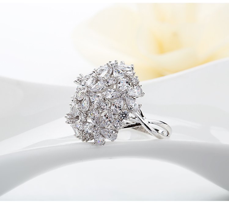 WR106 Silver Luxury Ring for Women — image 14