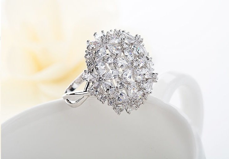 WR106 Silver Luxury Ring for Women — image 15