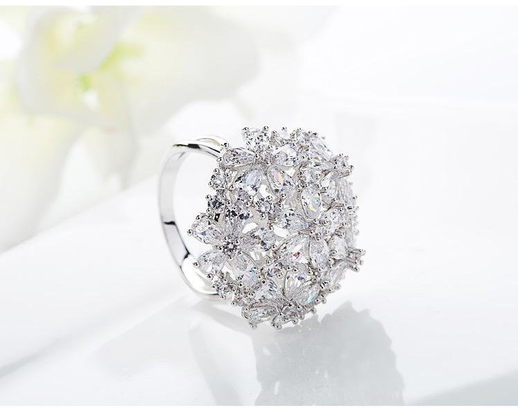 WR106 Silver Luxury Ring for Women — image 19